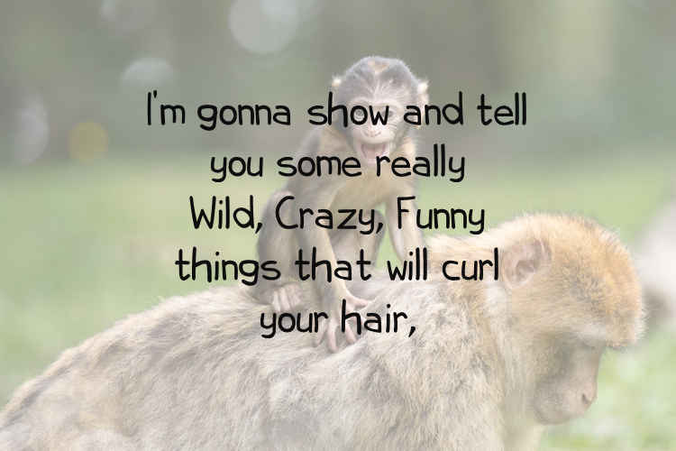 Wild Crazy Funny Stories - Merjeo